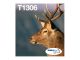 EPSON T1306 Multipack Easy Mail Packaging 3er Pack Gelb, Cyan, Magenta Tintenpa