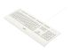 LOGITECH Keyboard K280e for Business - WHITE (DE)